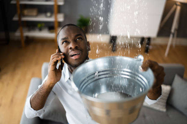 Best Carpet water damage restoration  in Baldwinville, MA