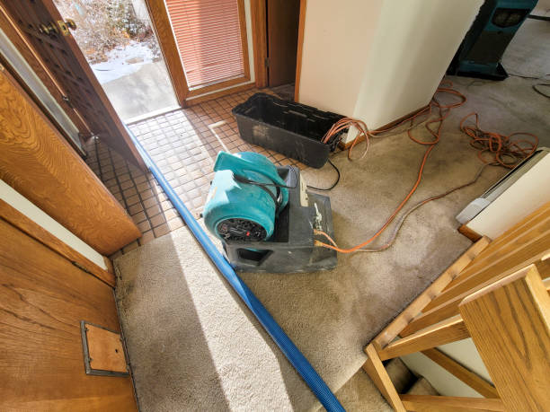 Best Professional water damage repair  in Baldwinville, MA