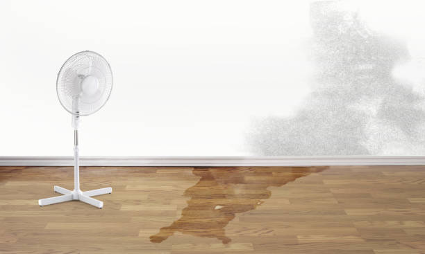 Best 24-hour water damage restoration  in Baldwinville, MA