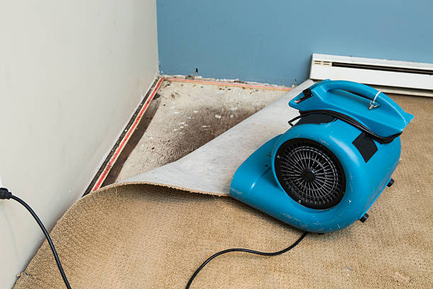 Best Flood restoration services  in Baldwinville, MA